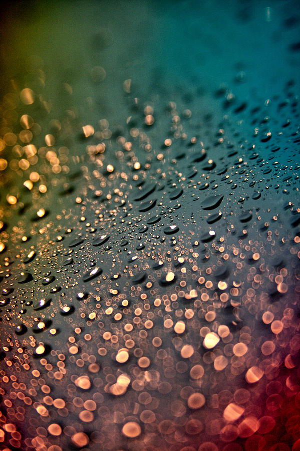 Water Drops Photograph - Water Drops by Stephanie Hollingsworth