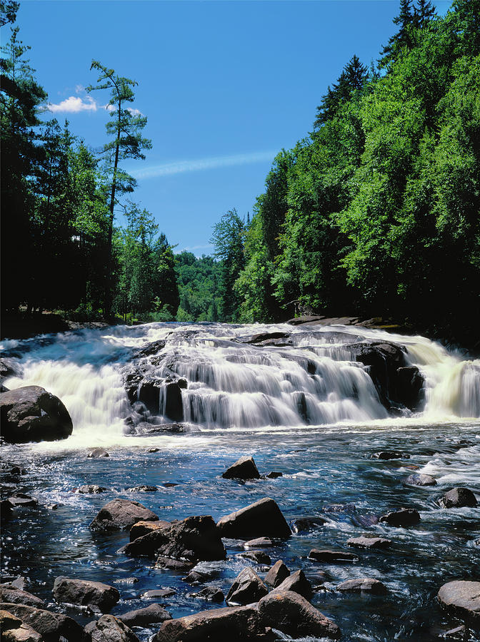 Water Flowing From Rocks In A Forest #1 Photograph by Panoramic Images