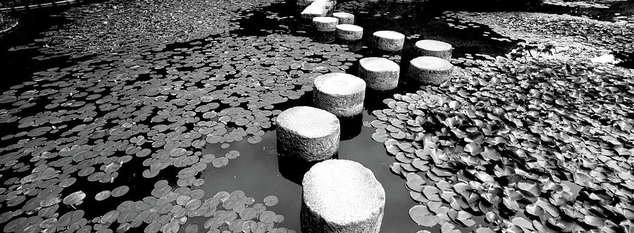 Water Lilies In A Pond, Helan Shrine #1 Photograph by Panoramic Images