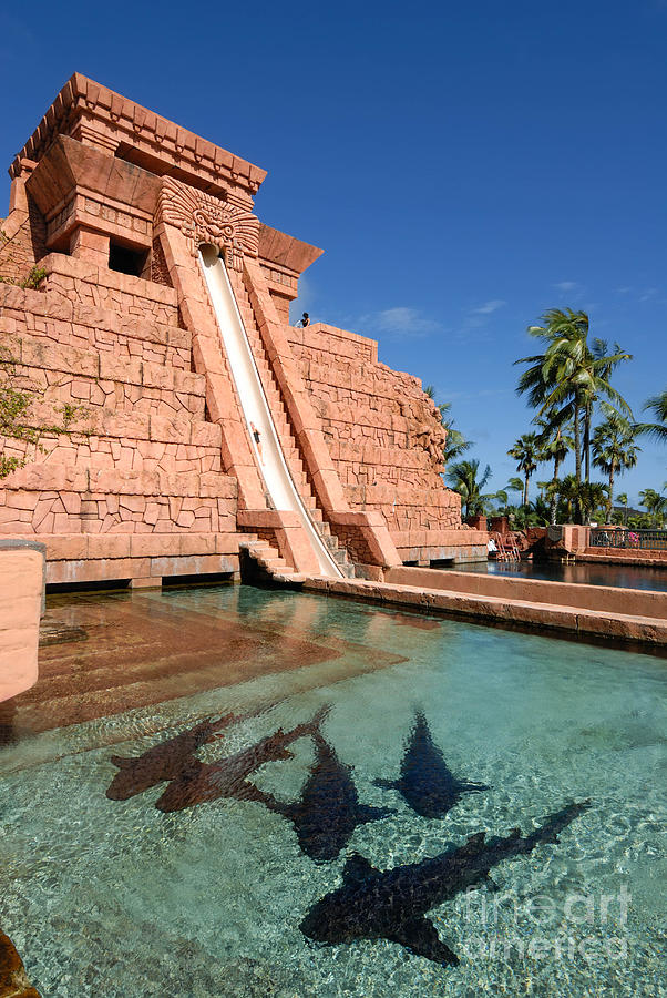 Water Slide At The Mayan Temple Atlantis Resort by Amy Cicconi