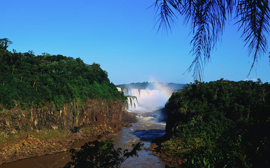Waterfall In A Forest, Iguazu Falls #1 Photograph by Panoramic Images