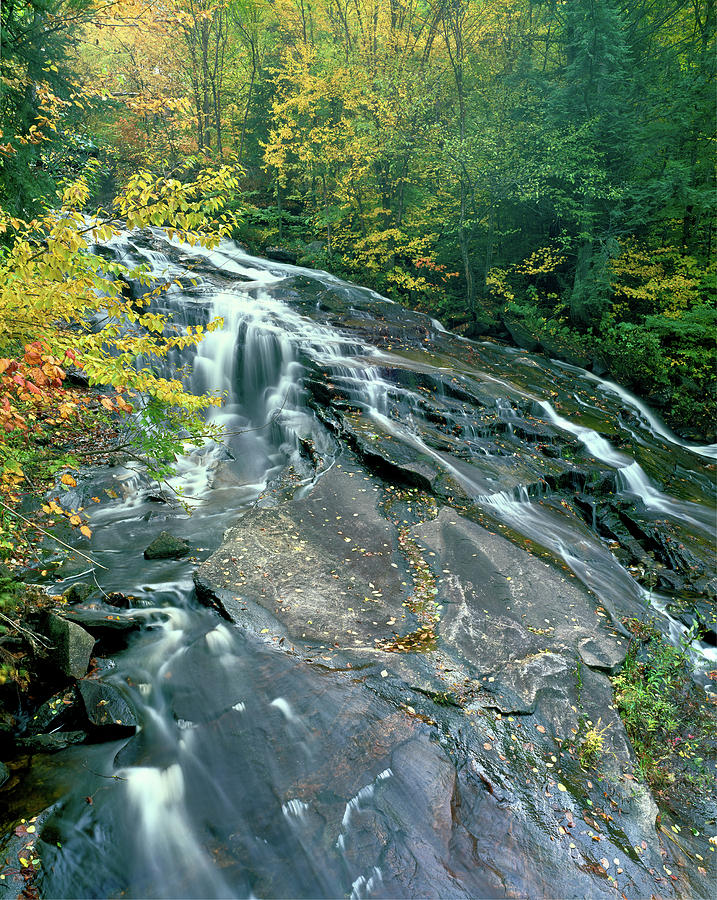 Waterfall In A Forest, Marshfield #1 Photograph by Panoramic Images