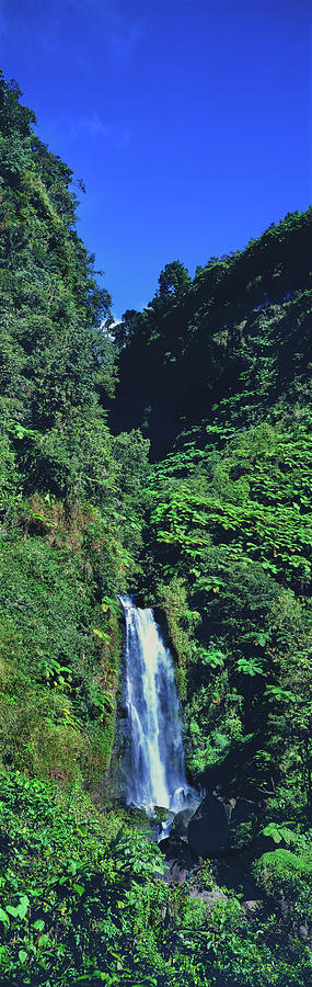 Waterfall In A Forest, Mother Falls #1 Photograph by Panoramic Images
