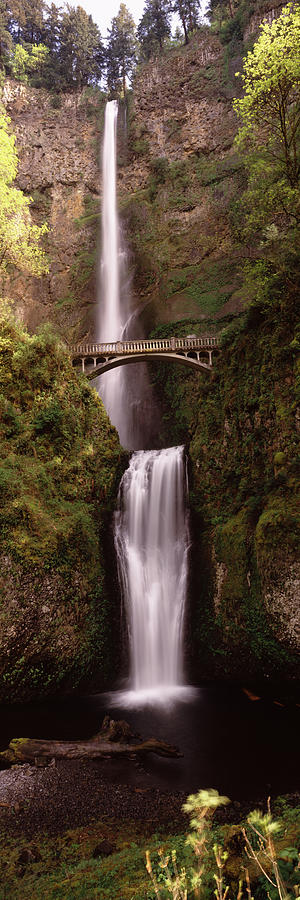 Nature Photograph - Waterfall In A Forest, Multnomah Falls #1 by Panoramic Images