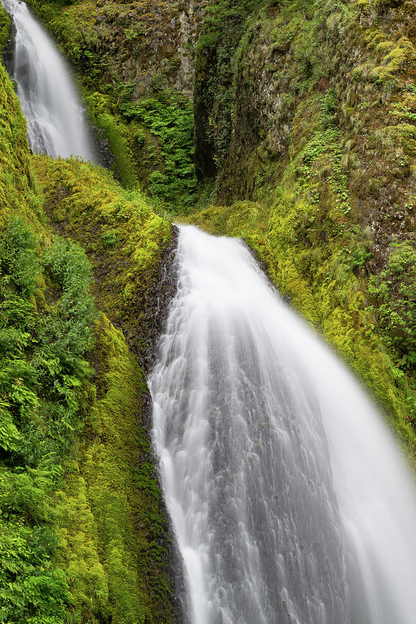 Waterfall In A Forest, Wahkeena Falls #1 Photograph by Panoramic Images