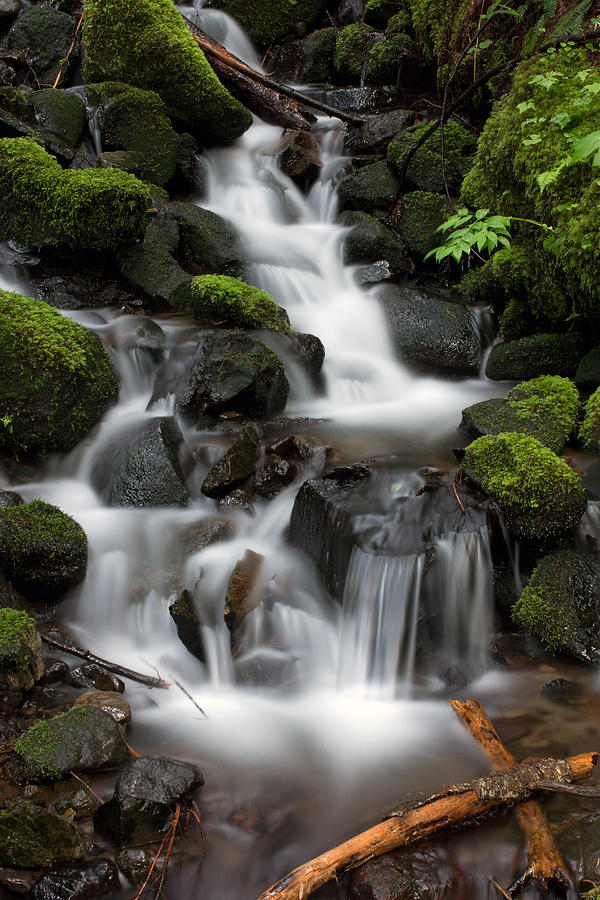 Waterfall Mount Rainier National Park Photograph By Bob Noble - Fine ...