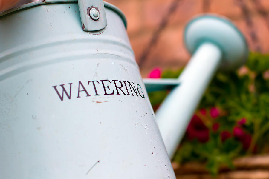 Flower Photograph - Watering Can #1 by Fizzy Image