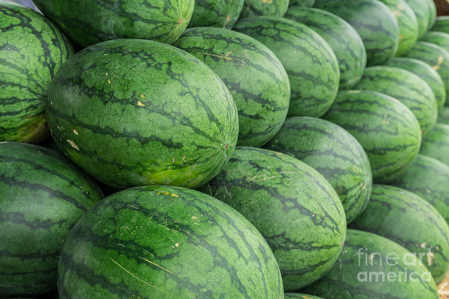 Watermelon  #1 Photograph by Tosporn Preede