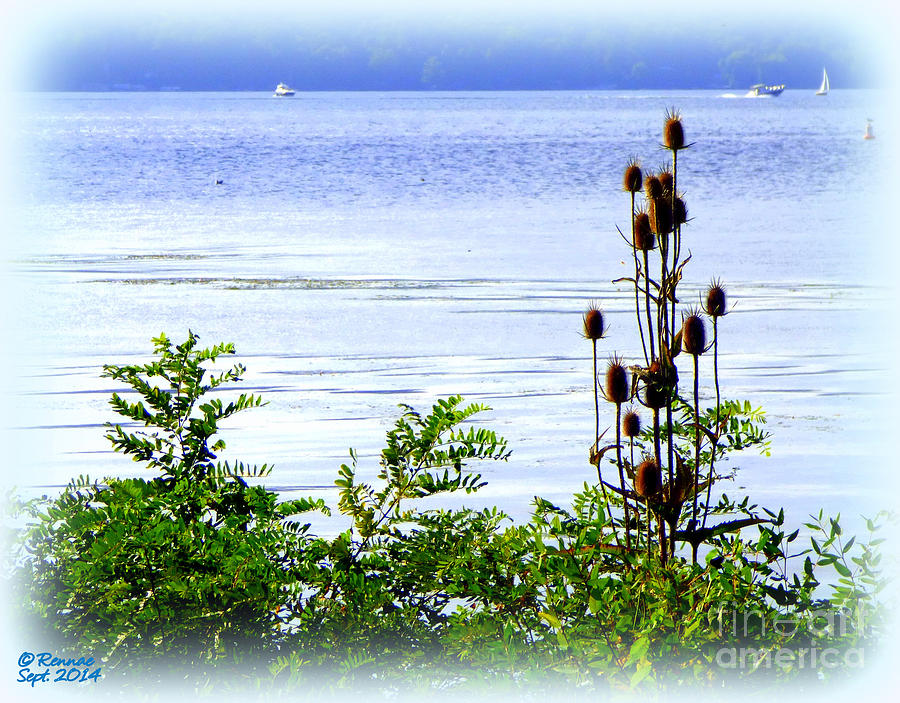 Waterscape Photograph - Waters Edge by Rennae Christman Waterscape Photograph - Waters Edge by Rennae Christman