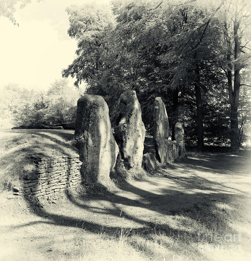 Black And White Photograph - Waylands Smithy Barrow by Tim Gainey