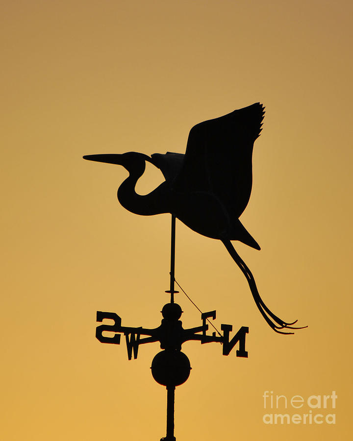 Weather Vane Silhouette  #2 Photograph by Bob Sample