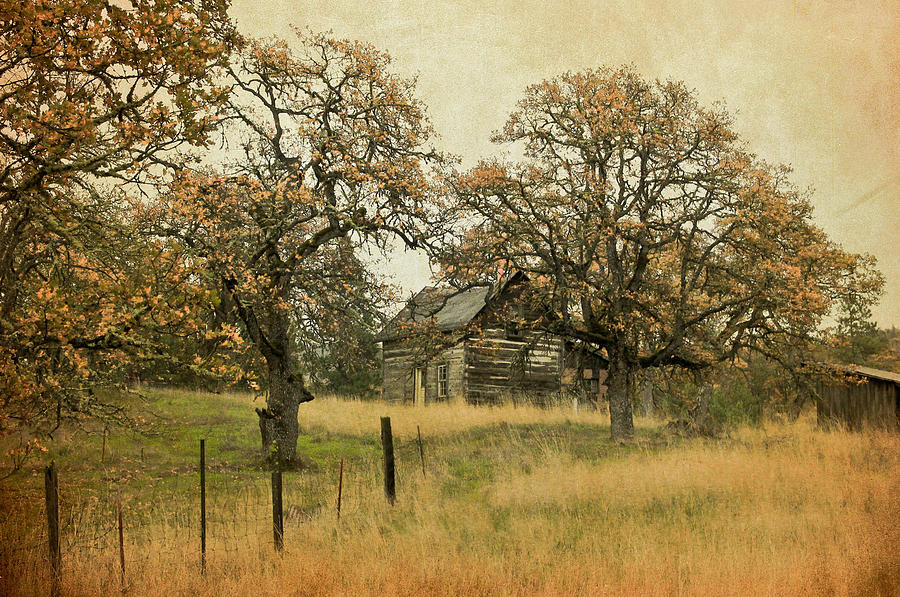 Weathered and Forgotten II Photograph by Athena Mckinzie