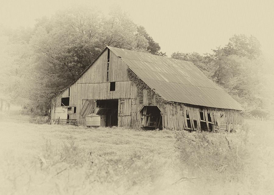 Weathered Barn #1 Photograph by Harold Rau
