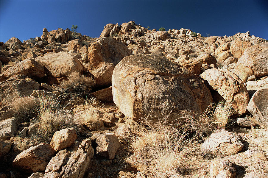 Weathering Rocks  Scientific American