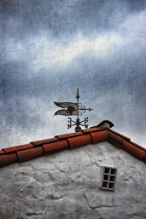 Weathered Weathervane #2 Photograph by Carol Leigh