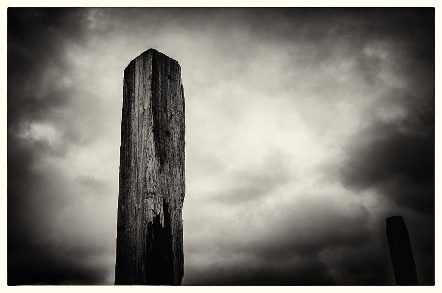 Weathered Wooden Post #1 Photograph by Lenny Carter