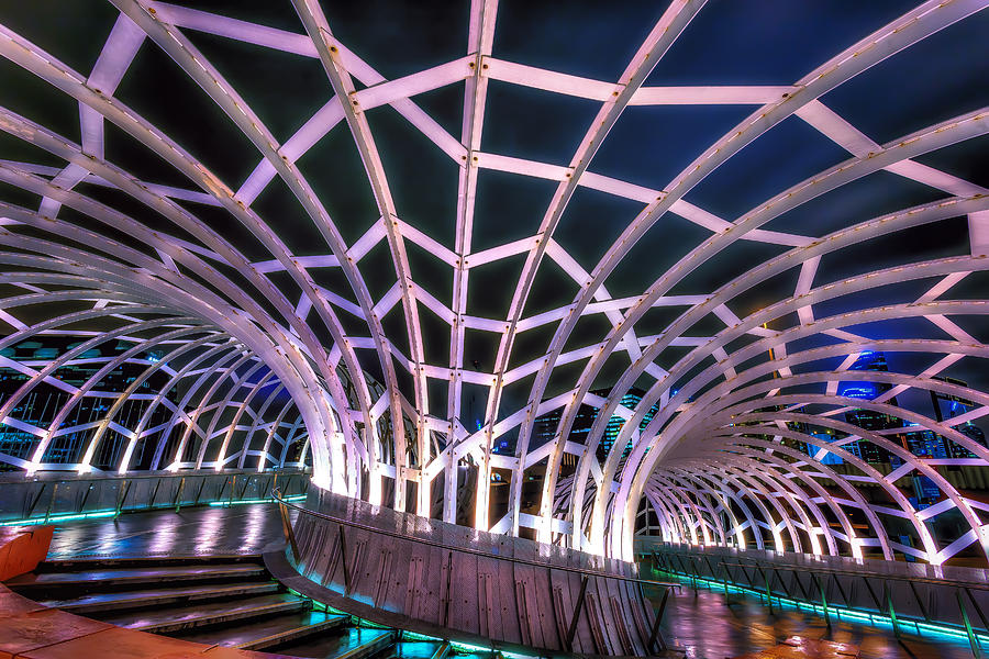 Webb Bridge Photograph by Paradigm Blue - Fine Art America