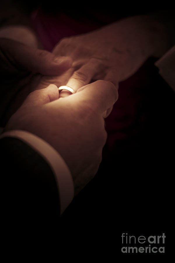 Wedding Rings Photograph by Jorgo Photography