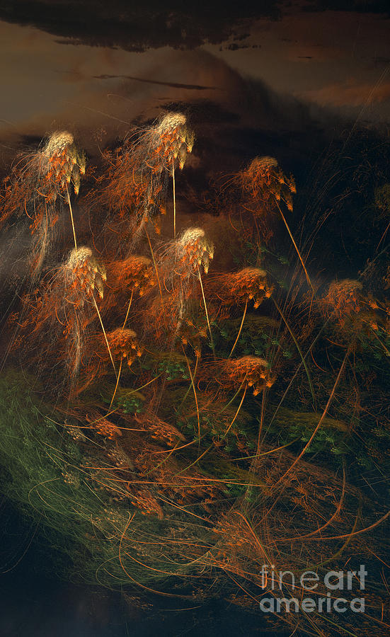 Weeds #1 Photograph by David Arment
