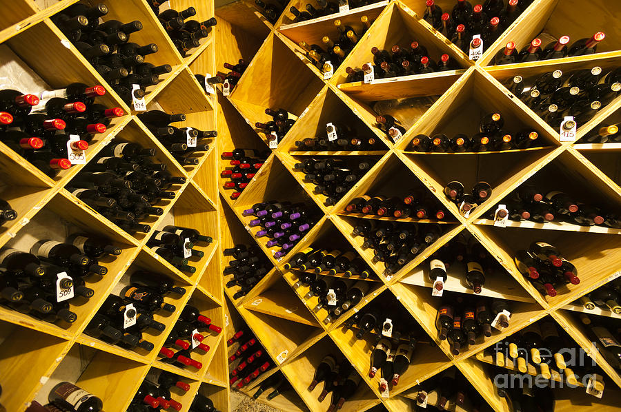 Well stocked wine cellar. #1 Photograph by Don Landwehrle