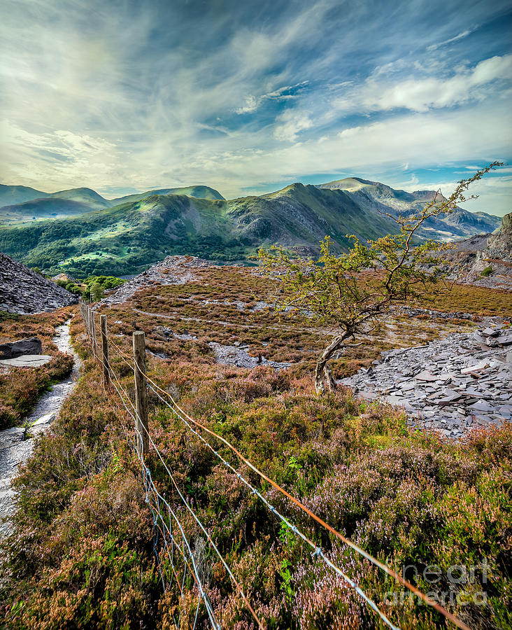 Snowdonia National Park Photograph - Welsh Mountains #2 by Adrian Evans
