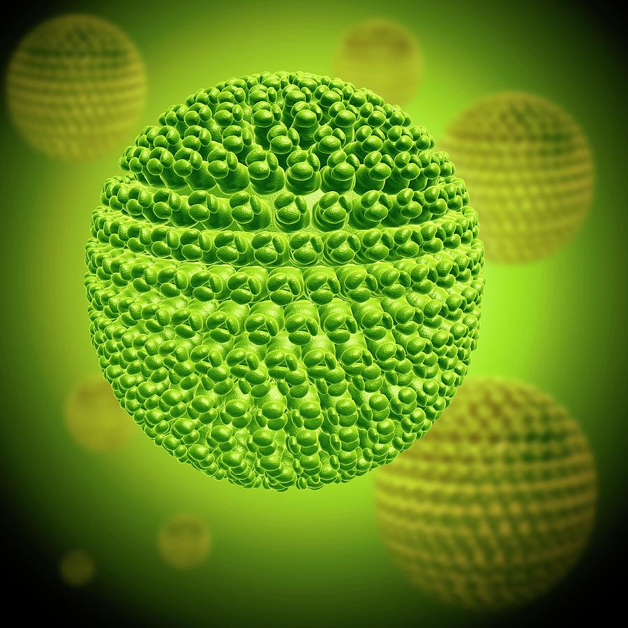 Computer Generated Photograph - West Nile Virus Particles #1 by Pixologicstudio/science Photo Library