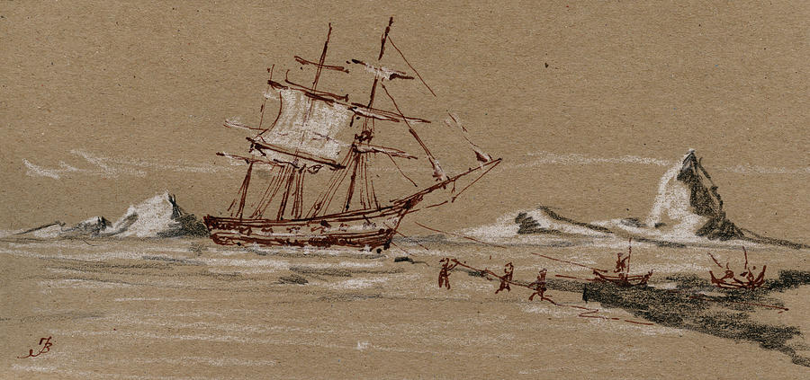 Wildlife Painting - Whaler ship #1 by Juan  Bosco