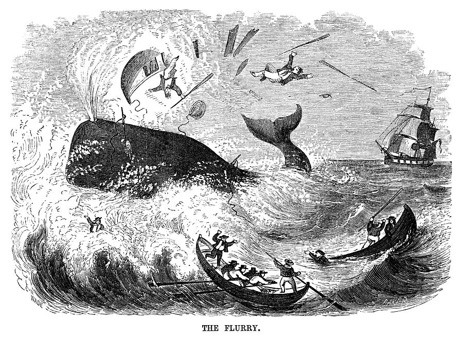 Whaling, 1855 #1 Painting by Granger