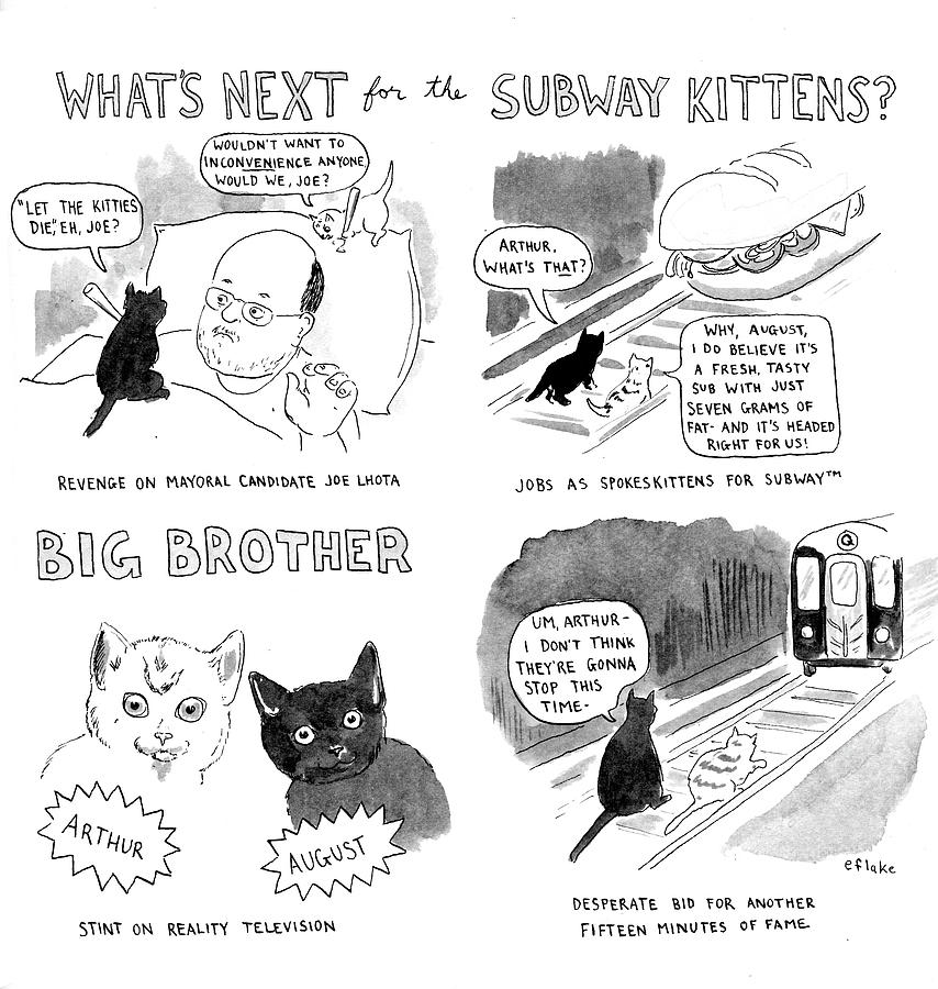 Whats Next For The Subway Kittens Drawing by Emily Flake