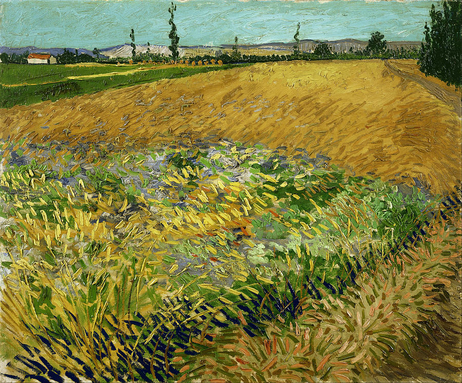 Wheatfield #1 Painting by Vincent Van Gogh