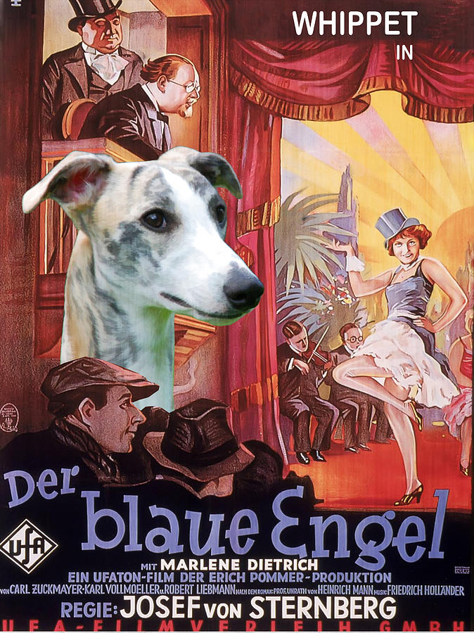 Whippet Art - Der Blaue Engel Movie Poster #1 Painting by Sandra Sij