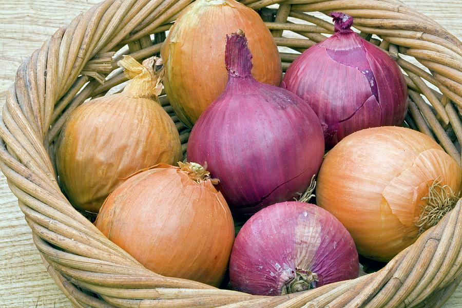 White And Red Onions Photograph by Adam Hart-davis/science Photo ...