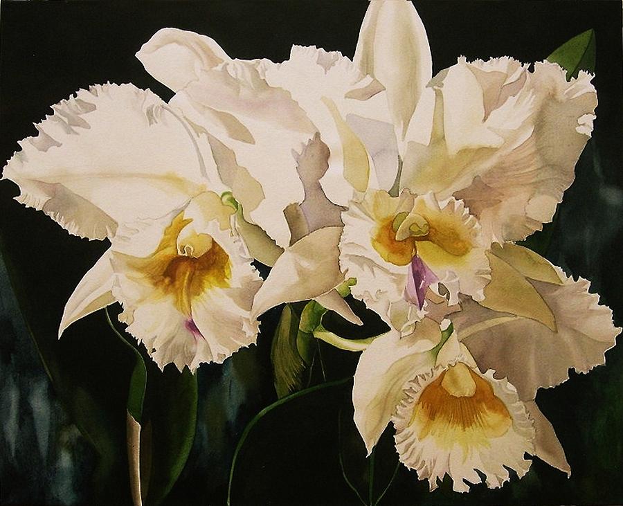 White Cattleya Orchids Painting by Alfred Ng