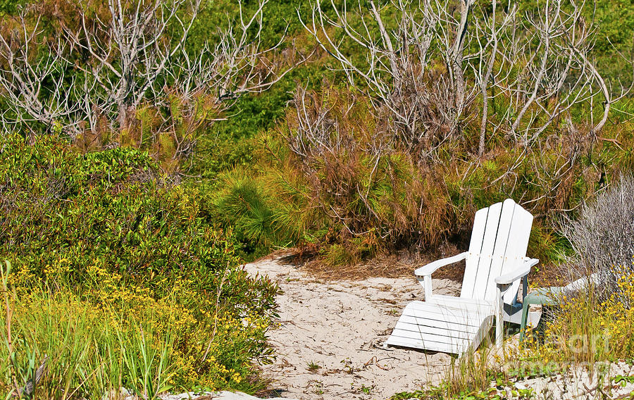 White Chair In Dunes #1 Photograph by Russell G Hunt