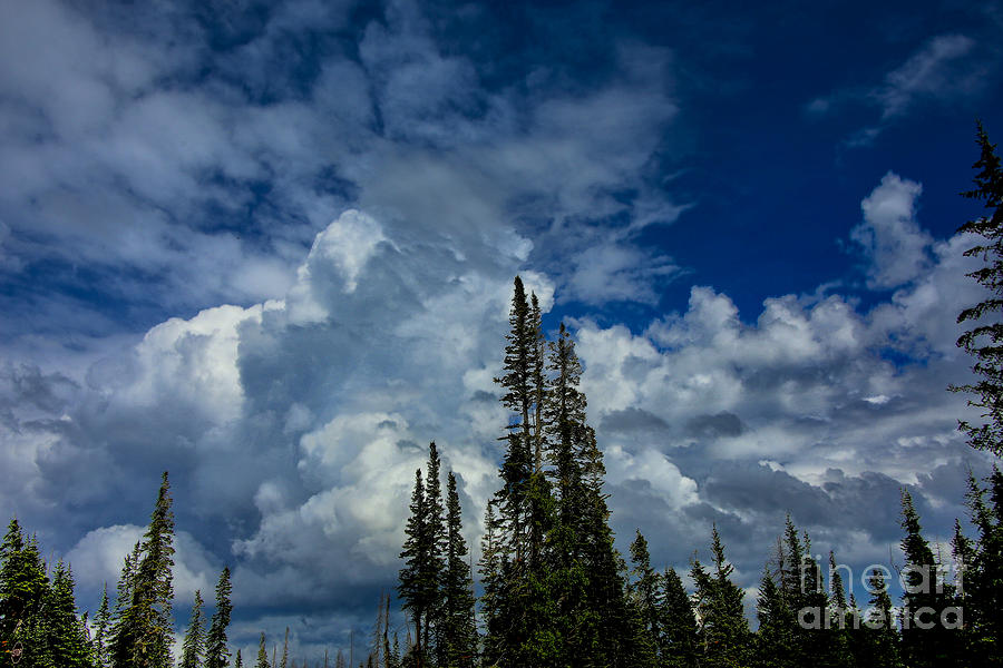 White Cloud #1 Photograph by Rick Bragan