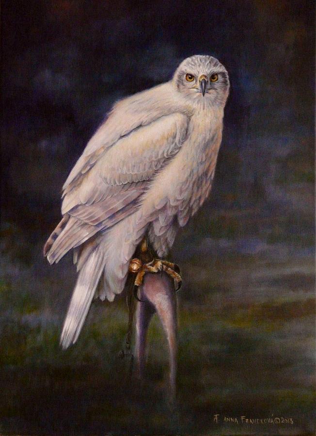 Falconry Painting - White Goshawk by Anna Franceova Falconry Painting - White Goshawk by Anna Franceova