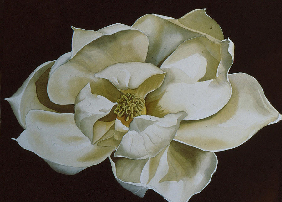 White Magnolia  #1 Painting by Alfred Ng