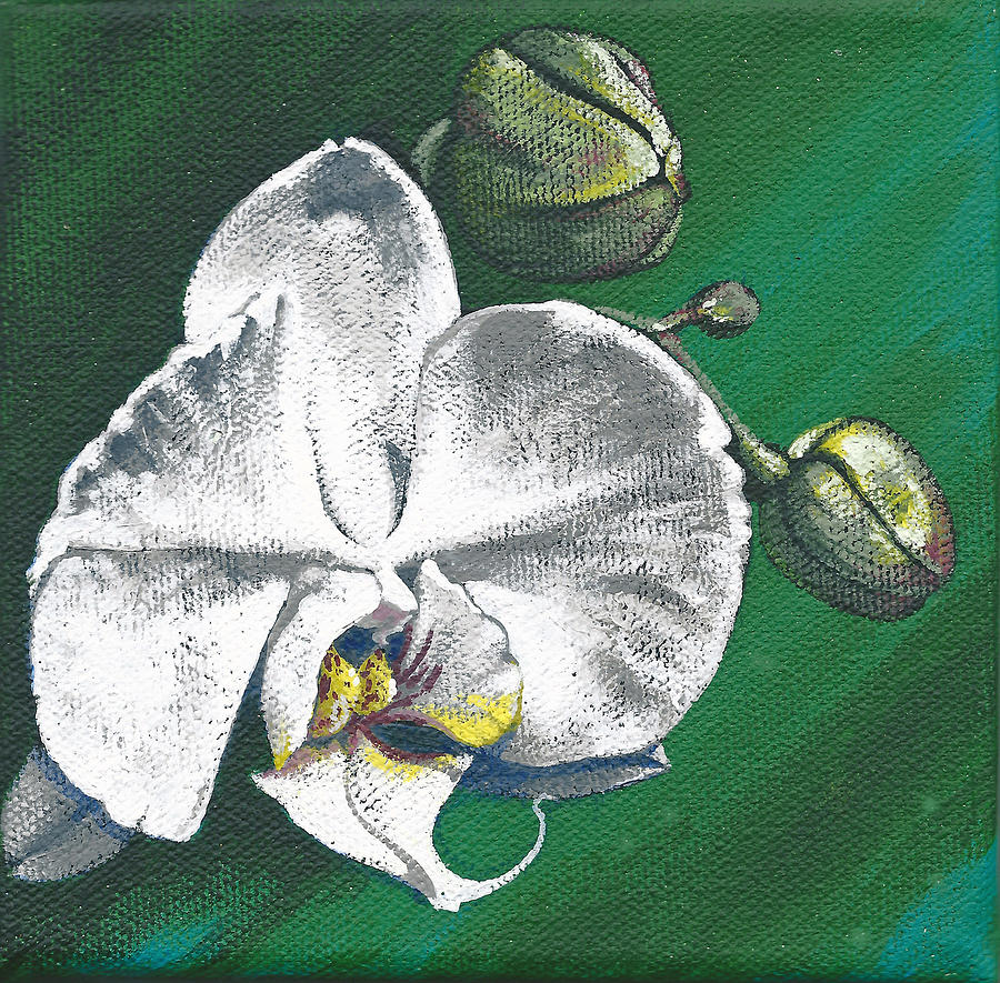 White Orchids II #2 Painting by Joan Garcia