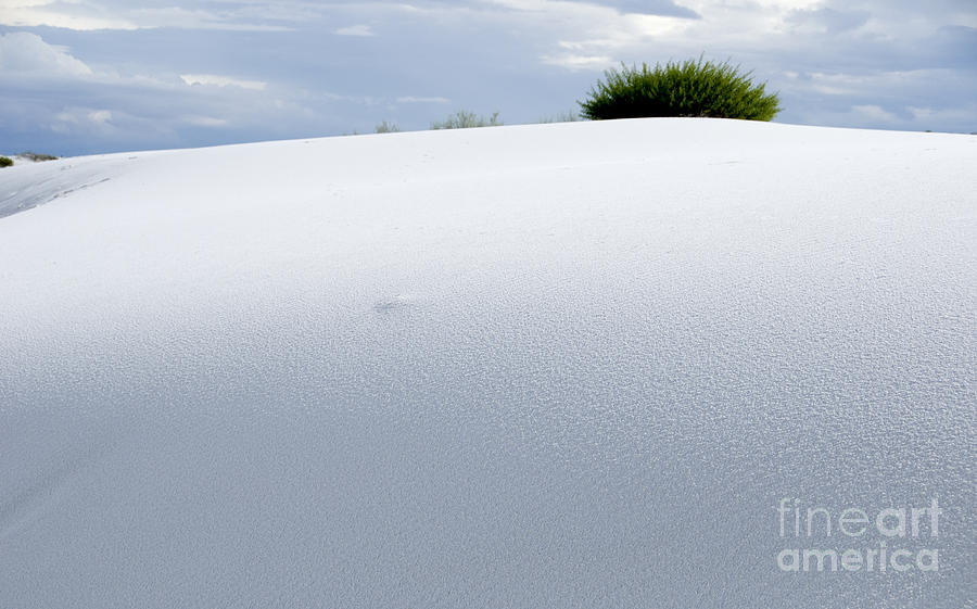 White Sand Dunes #1 Photograph by Milena Boeva