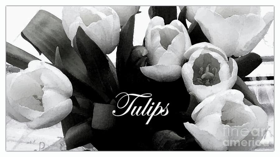 White Tulips #1 Photograph by Joan-Violet Stretch