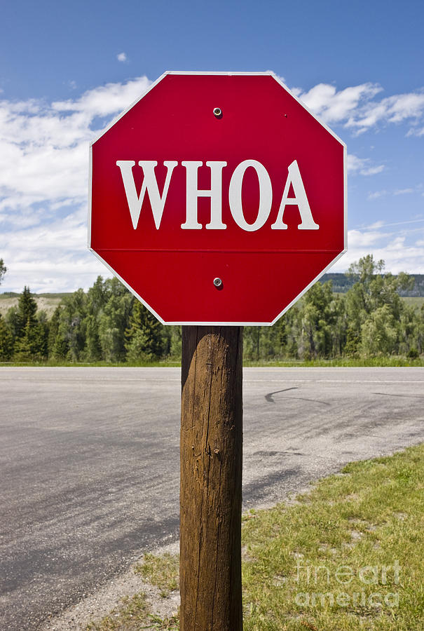 Whoa Stop Sign #1 Photograph by Rafael Macia