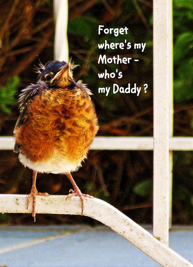 Who's my Daddy? Photograph by DVP Artography - Fine Art America