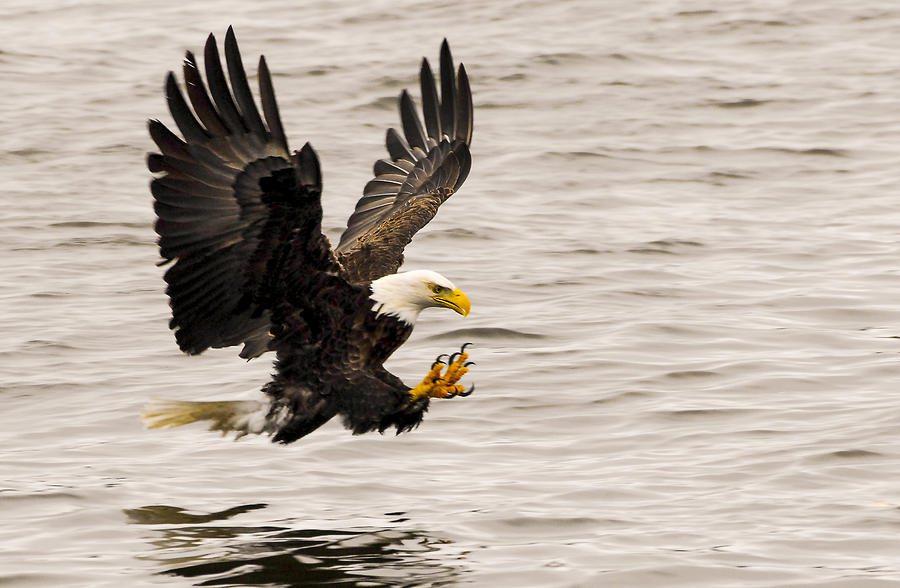 Wide Open Photograph by Robert Smice - Fine Art America