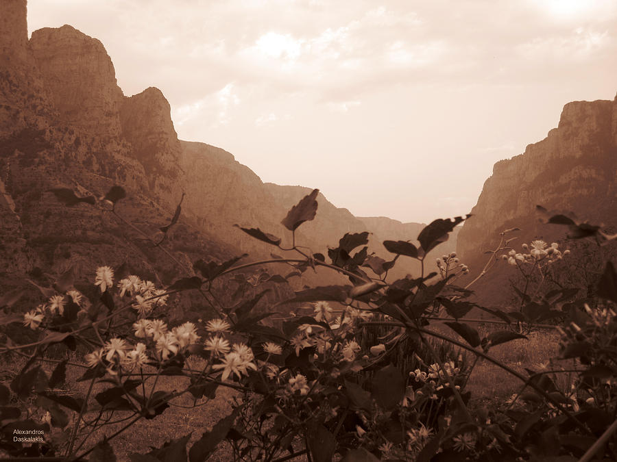 Wild Flowers and Mountains #2 Photograph by Alexandros Daskalakis