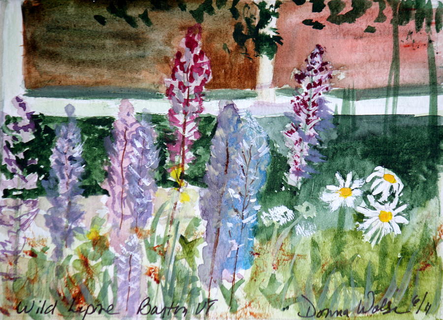 Wild Lupine in Barton Vermont #1 Painting by Donna Walsh