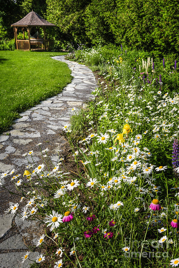 Wildflower garden and path to gazebo 1 Photograph by Elena Elisseeva