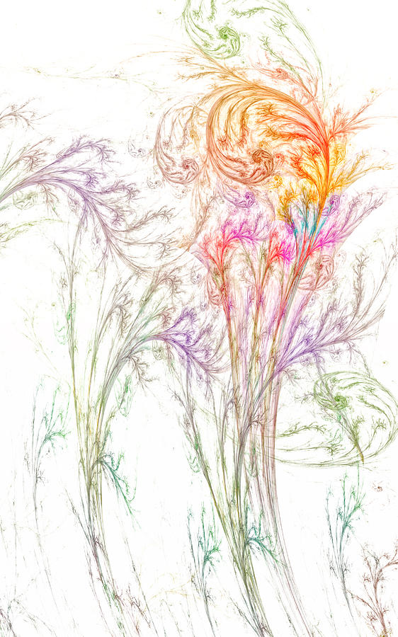 Wildflowers #1 Digital Art by Gary Blackman