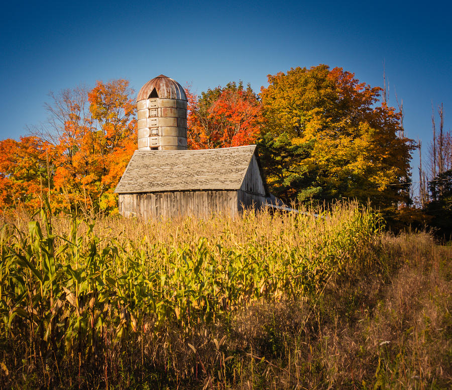 Wildwood Farm in Fall Photograph by Terry Ann Morris