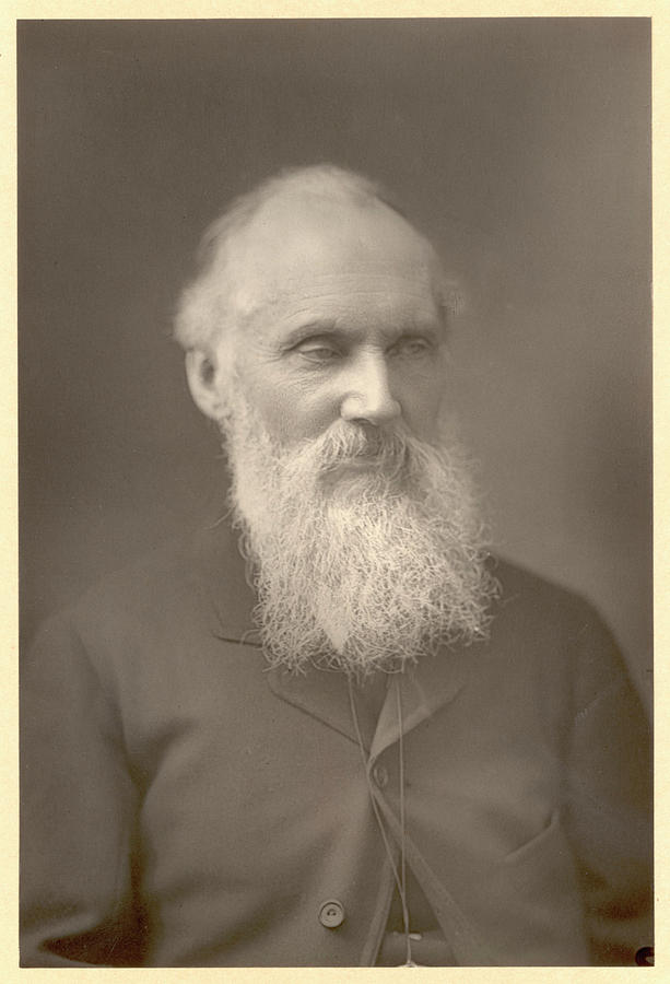 William Thomson, 1st Baron Kelvin Photograph by Mary Evans Picture ...