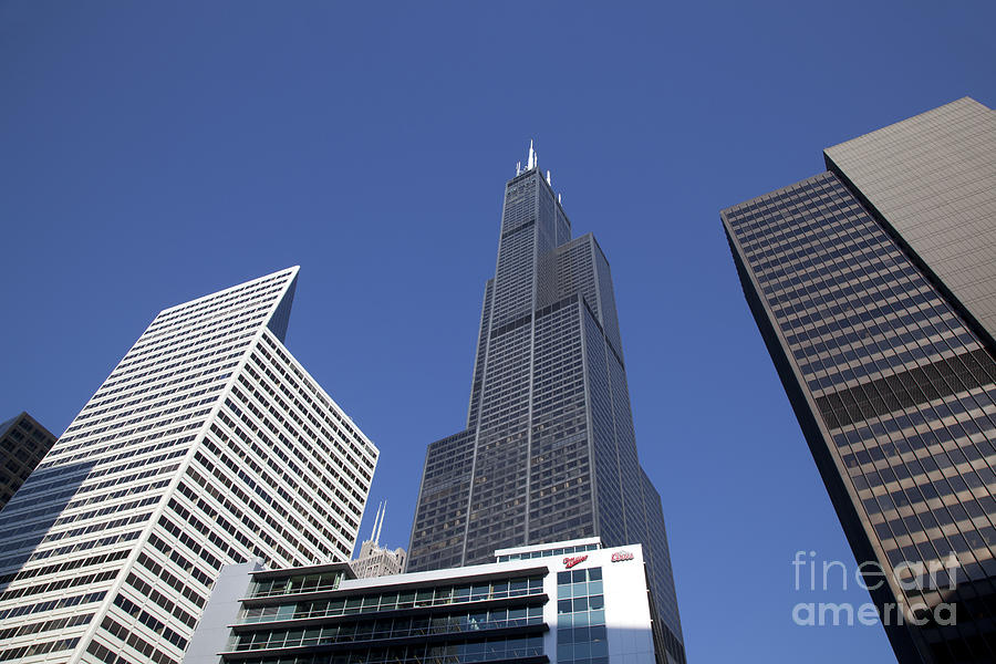 Willis Tower in Chicago #1 Photograph by Jim West